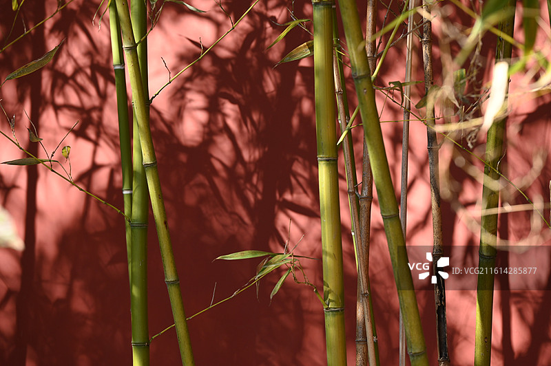 福建莆田南少林寺图片素材