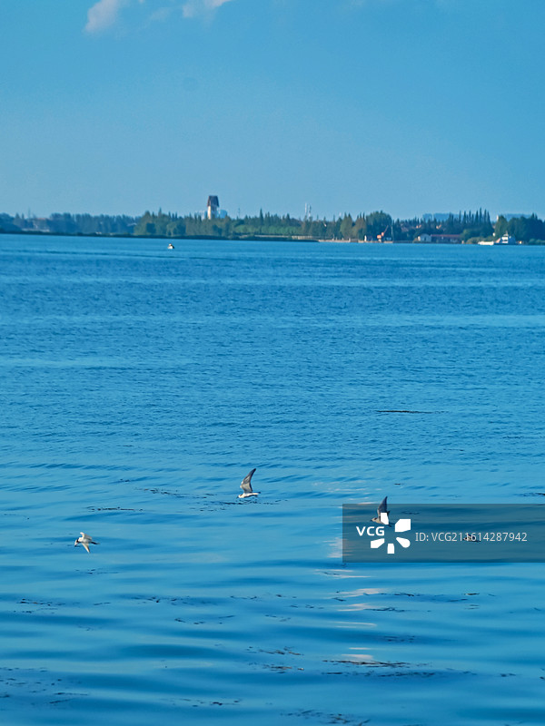 淀山湖日落图片素材