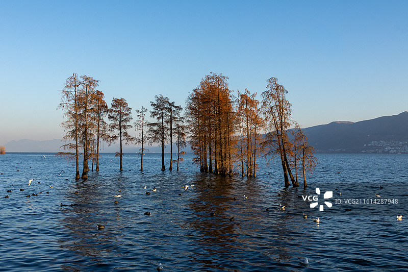 大理洱海龙龛码头日出图片素材