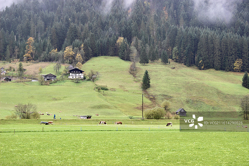 奥地利戈绍小镇绿色田园乡村自然风景图片素材