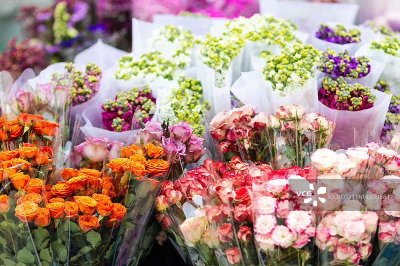 广东春节花卉市场鲜花摊位图片素材