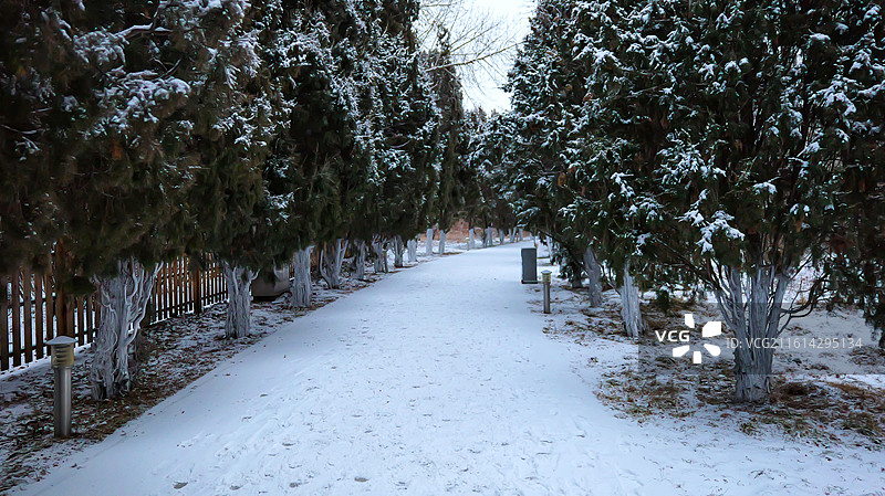 树木园雪景6图片素材