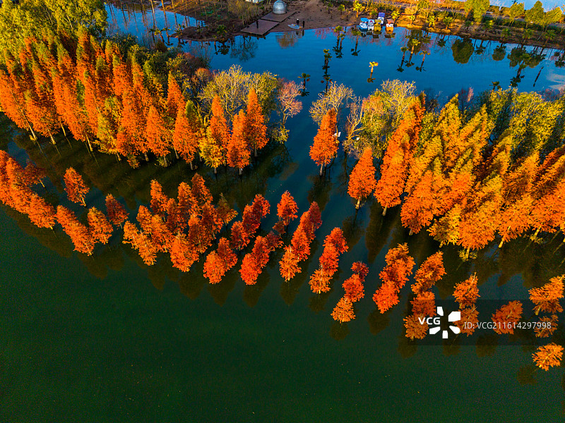 云南省玉溪市江川区星云湖湿地风光图片素材