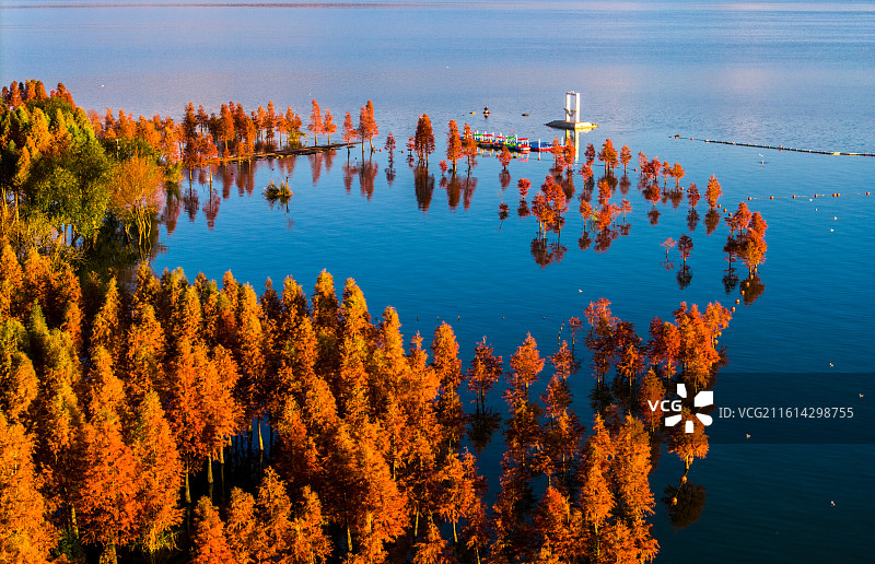 云南省玉溪市江川区星云湖天使之翼码头风光图片素材