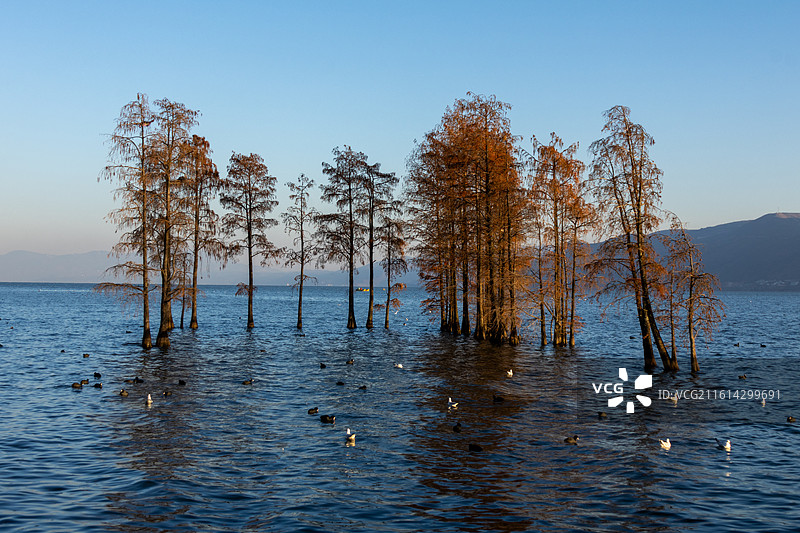 大理洱海龙龛码头日出图片素材