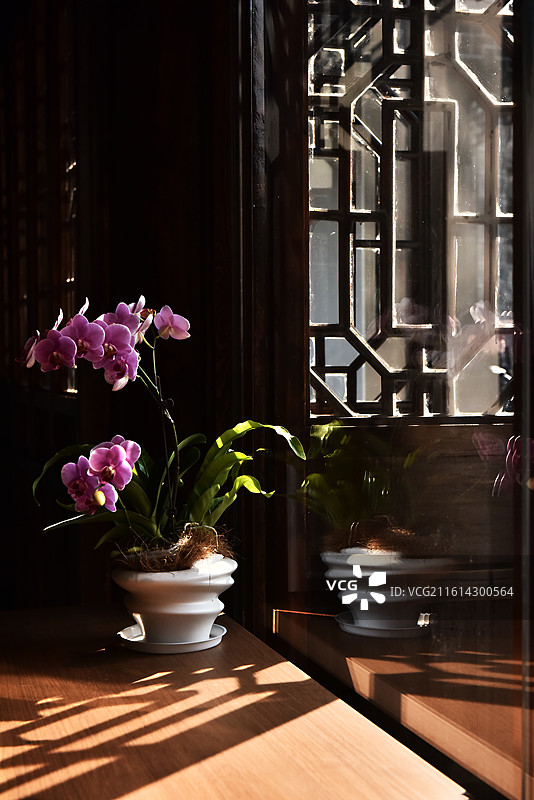 生活方式图片素材