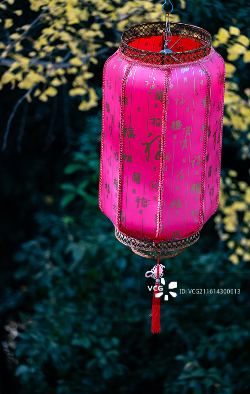 南京九华山公园挂在树上的灯笼的低角度视图图片素材