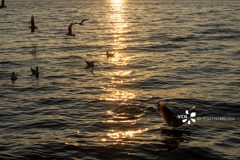 大理洱海龙龛码头日出图片素材