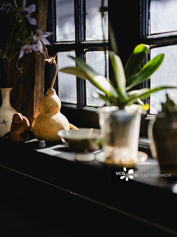 饰品店桌子上的盆栽植物特写镜头图片素材