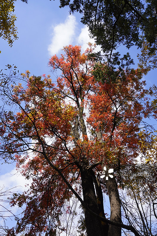 云南民族大观园图片素材