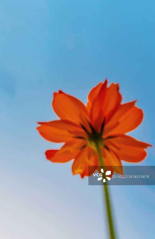 淀山湖日落图片素材