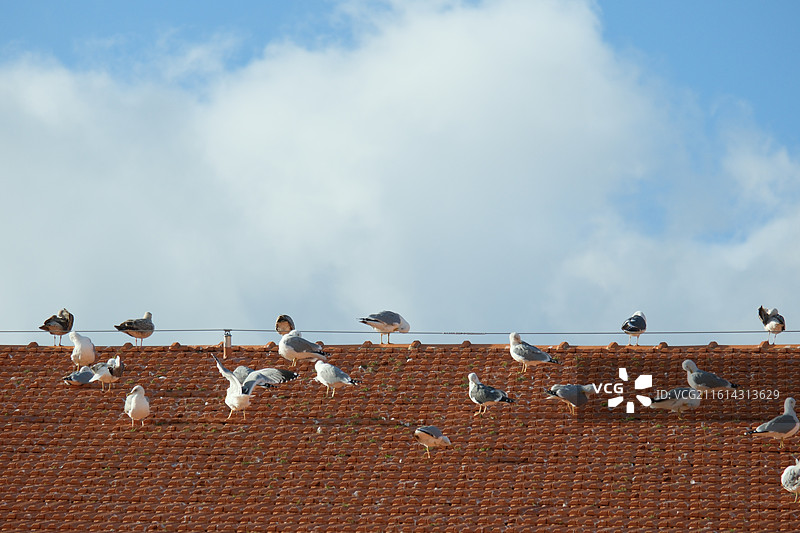 鸟瞰天空的低角度鸟瞰图图片素材