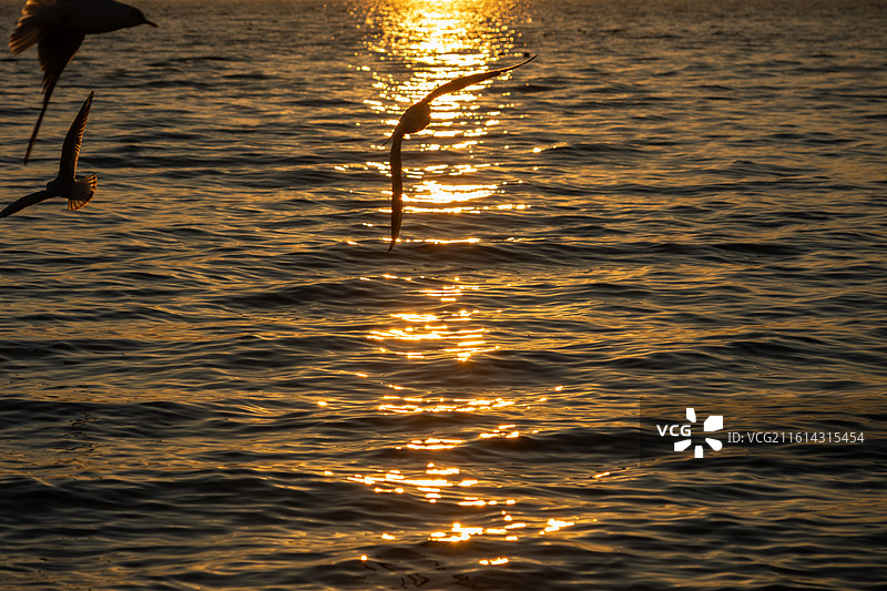 大理洱海龙龛码头日出图片素材