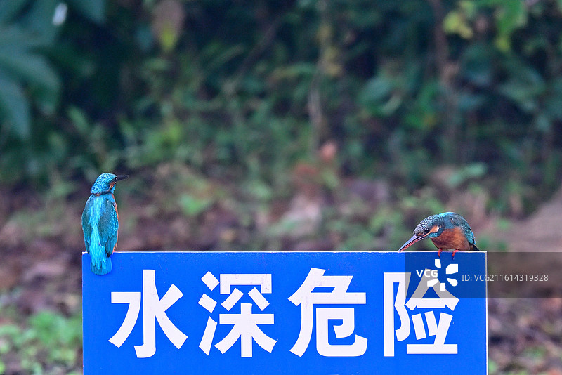 俯首称臣图片素材