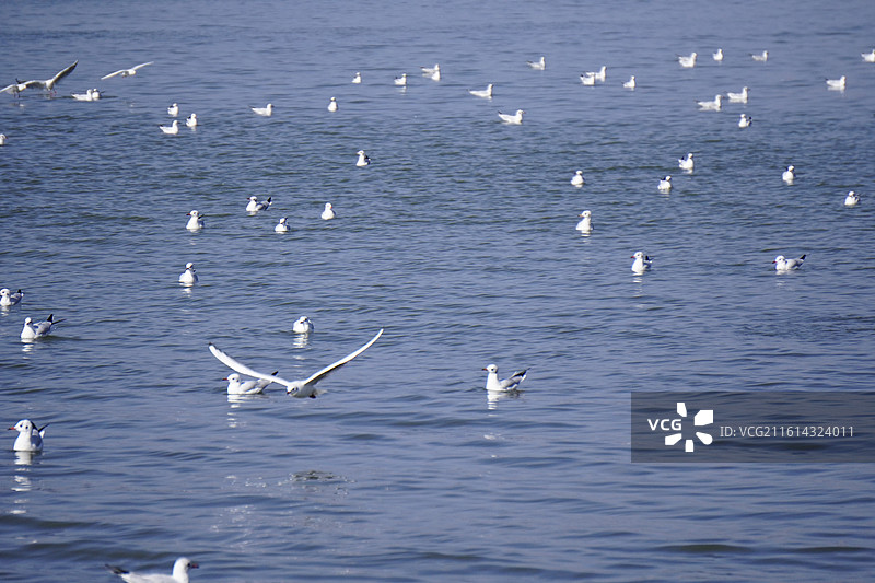 云南民族大观园图片素材