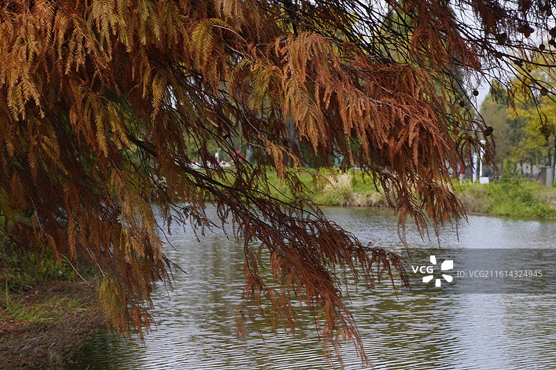 昆明大观园图片素材