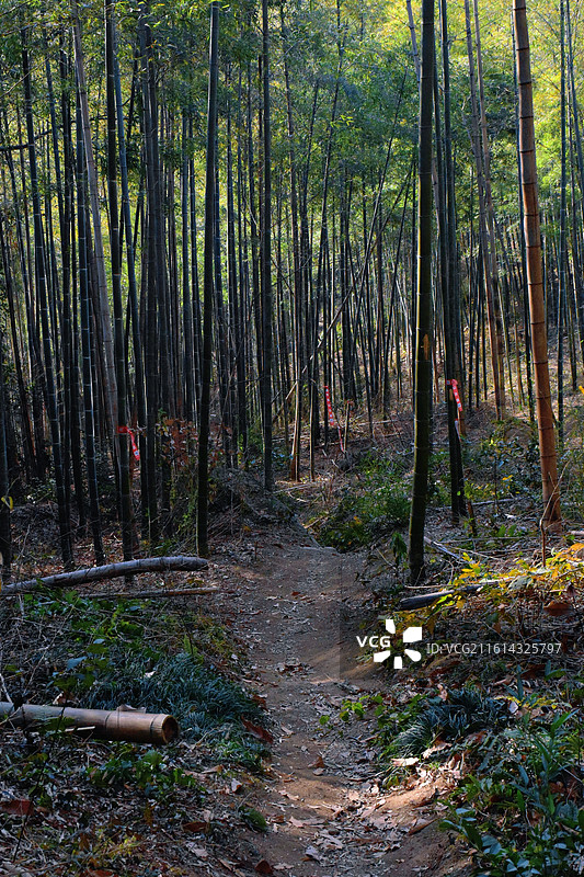 湖州妙西古道图片素材