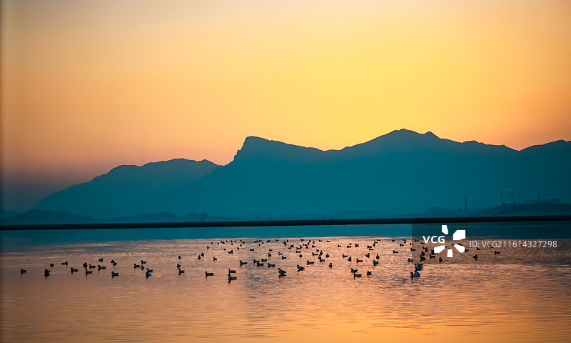 湖口县鄱阳湖候鸟迁徙图片素材