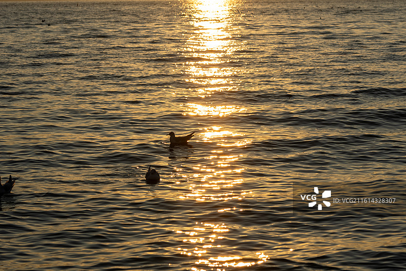 大理洱海龙龛码头日出图片素材