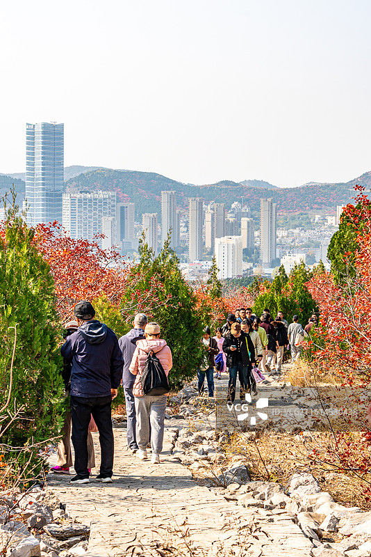 黄栌红叶背景映衬中的济南蝎子山蚰蜒山秋色自然景观与济南城市建筑都市风光图片素材