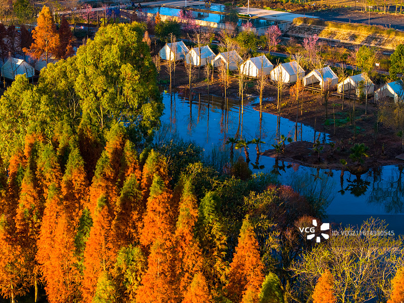 云南省玉溪市江川区星云湖湿地风光图片素材