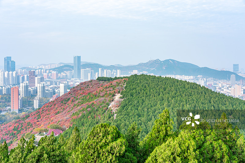 山东济南蝎子山蚰蜒山黄栌红叶自然秋色景观.平分秋色平色均春秋图片素材