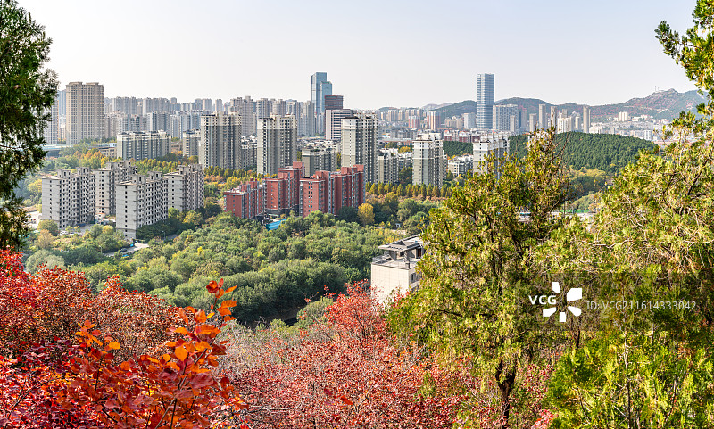 黄栌红叶背景映衬中的济南蝎子山蚰蜒山秋色自然景观与济南城市建筑都市风光图片素材