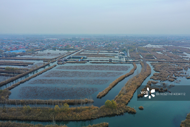 碧水连天映霞光，野鸭掠舞芦花黄  俯身临岸观舟远，银杏红叶风里扬  千岛万湖织洋淀，生态画卷韵悠长图片素材