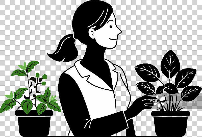 香草医生薄荷罗勒盆栽图片素材