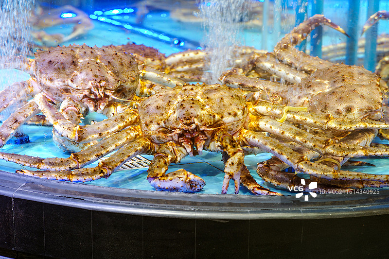 美味的帝王蟹图片素材