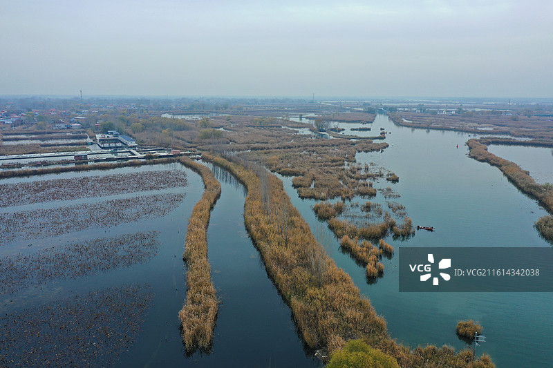 碧水连天映霞光，野鸭掠舞芦花黄  俯身临岸观舟远，银杏红叶风里扬  千岛万湖织洋淀，生态画卷韵悠长图片素材