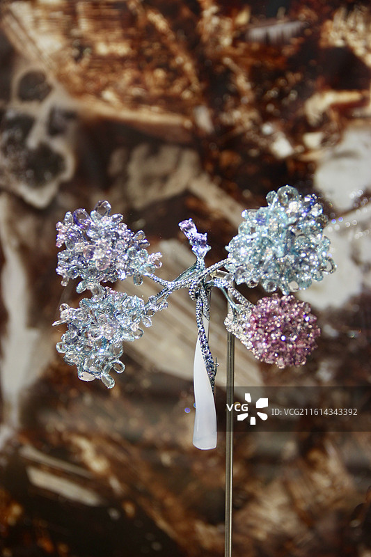 上海L'ÉCOLE珠宝艺术中心矿石奇珍展览蜻蜓胸针图片素材