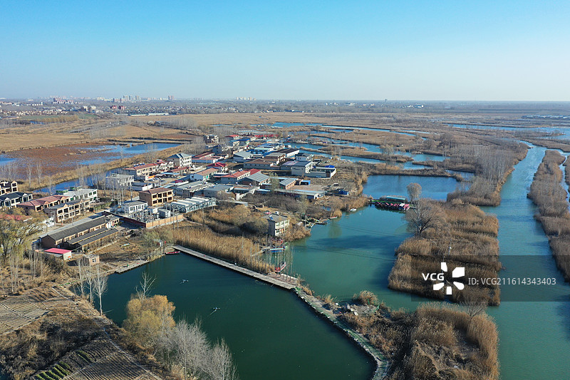 碧水连天映霞光，野鸭掠舞芦花黄  俯身临岸观舟远，银杏红叶风里扬  千岛万湖织洋淀，生态画卷韵悠长图片素材