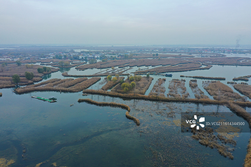 碧水连天映霞光，野鸭掠舞芦花黄  俯身临岸观舟远，银杏红叶风里扬  千岛万湖织洋淀，生态画卷韵悠长图片素材