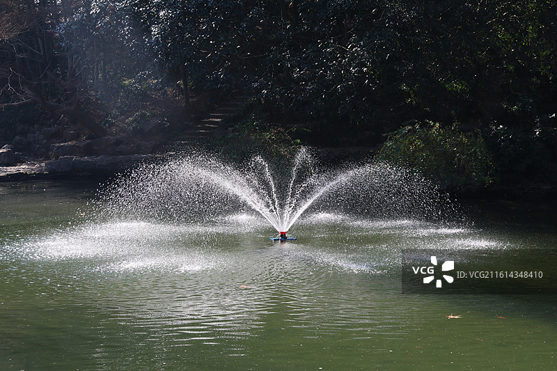 杭州植物园图片素材
