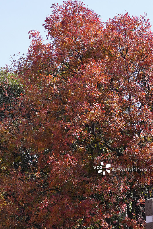 云南民族大观园图片素材