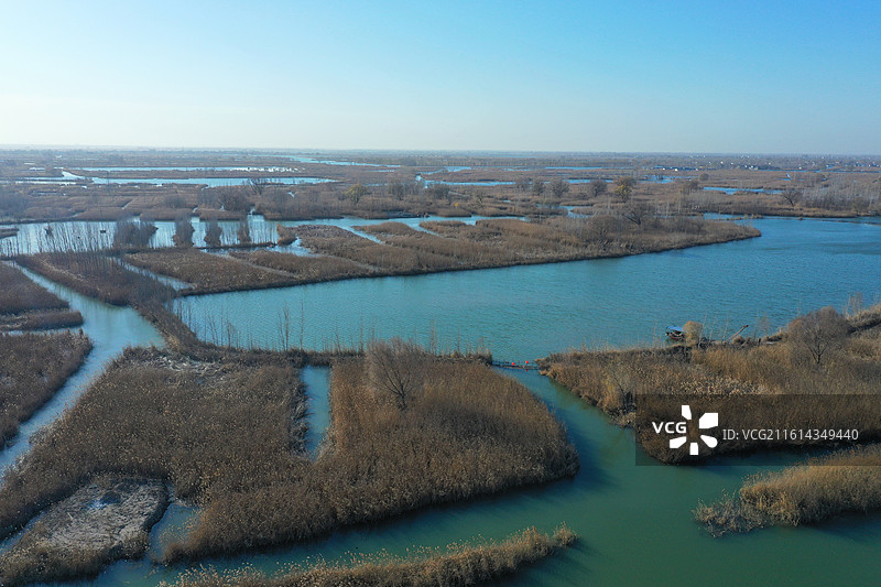 碧水连天映霞光，野鸭掠舞芦花黄  俯身临岸观舟远，银杏红叶风里扬  千岛万湖织洋淀，生态画卷韵悠长图片素材