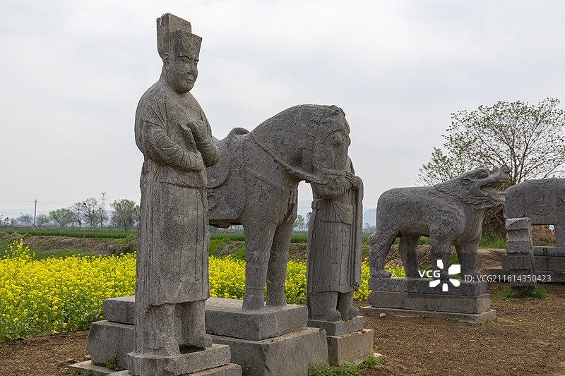 河南省巩义市，北宋皇陵永泰陵的石像生，春天的油菜花，第二批全国重点文物保护单位图片素材