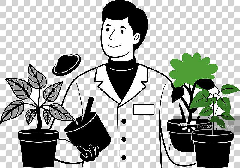 香草医生 薄荷 罗勒 盆栽图片素材