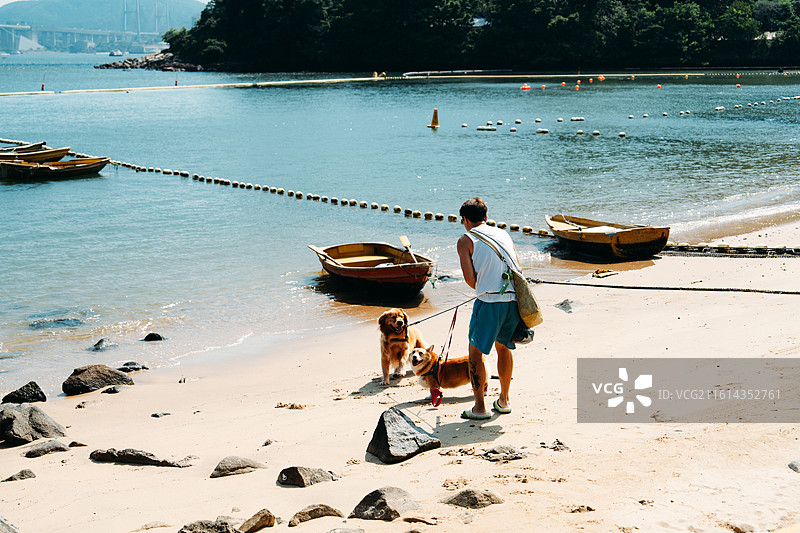 香港汀九沙滩，人与狗图片素材