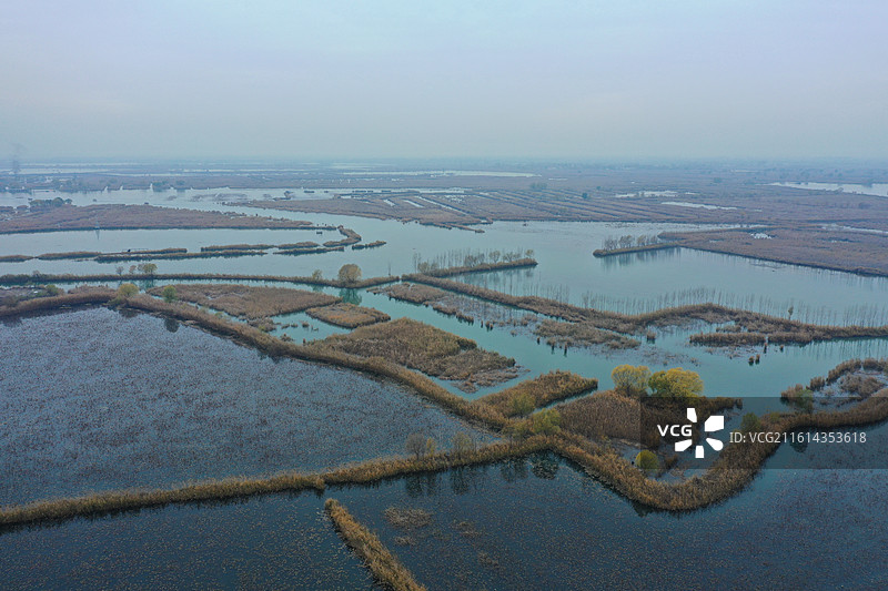 碧水连天映霞光，野鸭掠舞芦花黄  俯身临岸观舟远，银杏红叶风里扬  千岛万湖织洋淀，生态画卷韵悠长图片素材