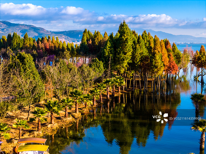 云南省玉溪市江川区星云湖湿地风光图片素材