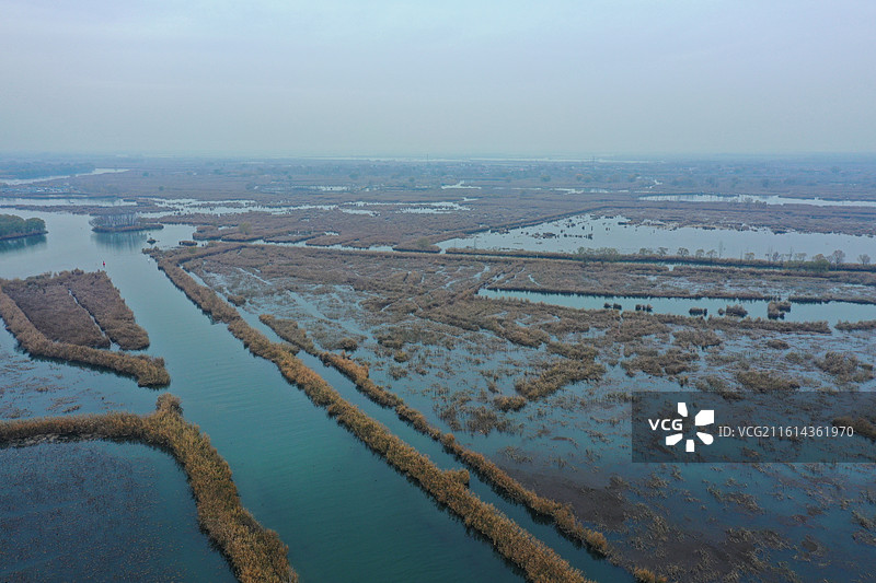 碧水连天映霞光，野鸭掠舞芦花黄  俯身临岸观舟远，银杏红叶风里扬  千岛万湖织洋淀，生态画卷韵悠长图片素材