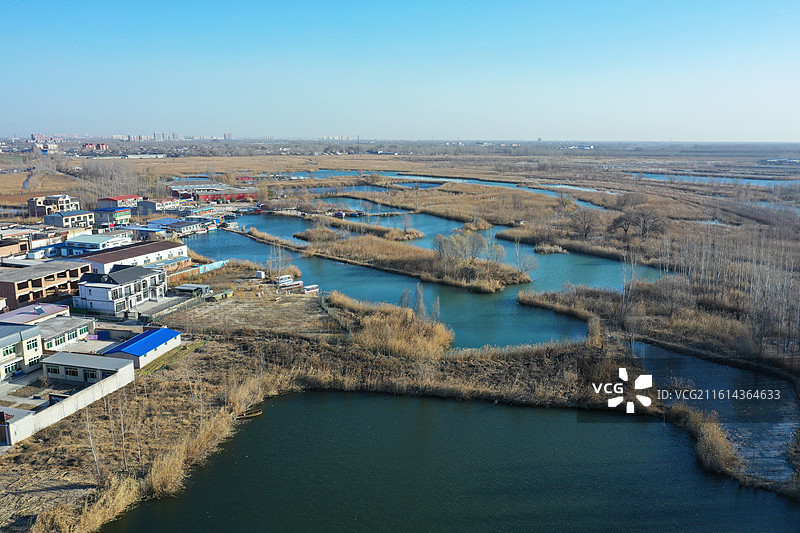 碧水连天映霞光，野鸭掠舞芦花黄  俯身临岸观舟远，银杏红叶风里扬  千岛万湖织洋淀，生态画卷韵悠长图片素材