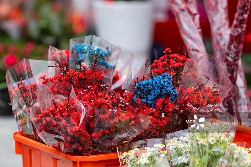 广东春节花卉市场鲜花摊位图片素材