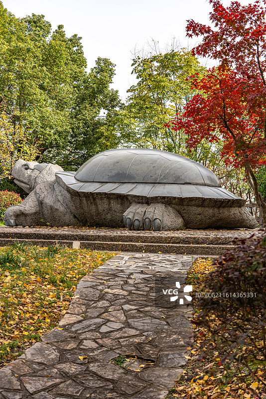 秋色中的南京九华山公园千寿龟图片素材