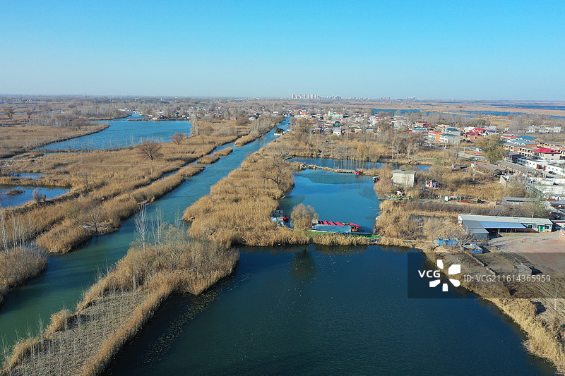碧水连天映霞光，野鸭掠舞芦花黄  俯身临岸观舟远，银杏红叶风里扬  千岛万湖织洋淀，生态画卷韵悠长图片素材