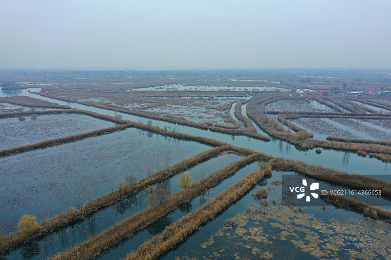 碧水连天映霞光，野鸭掠舞芦花黄 俯身临岸观舟远，银杏红叶风里扬 千岛万湖织洋淀，生态画卷韵悠长图片素材