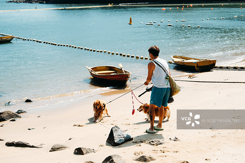 香港汀九沙滩，人与狗图片素材