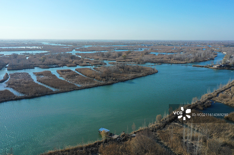 碧水连天映霞光，野鸭掠舞芦花黄  俯身临岸观舟远，银杏红叶风里扬  千岛万湖织洋淀，生态画卷韵悠长图片素材
